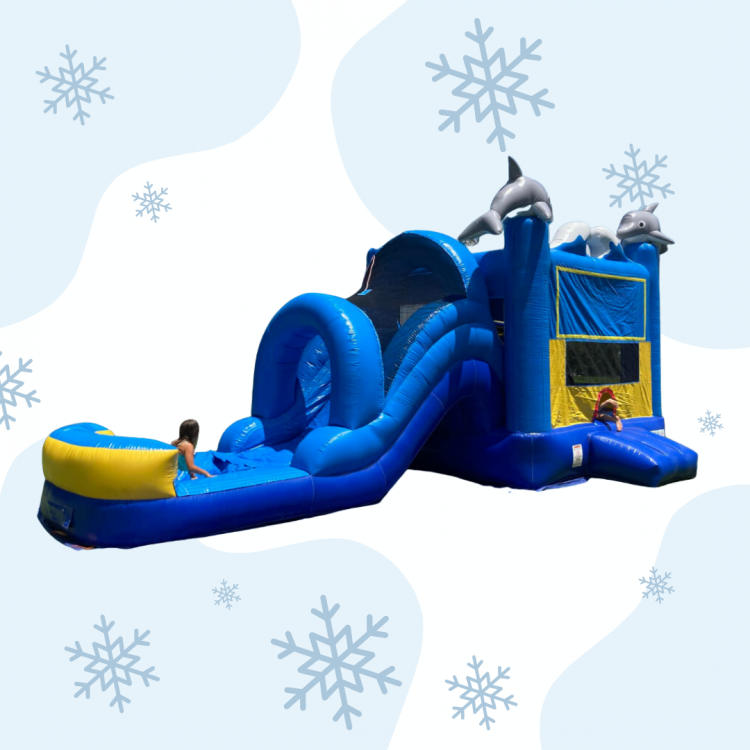Quality Bounce House Rentals in Richlands NC 9103816591