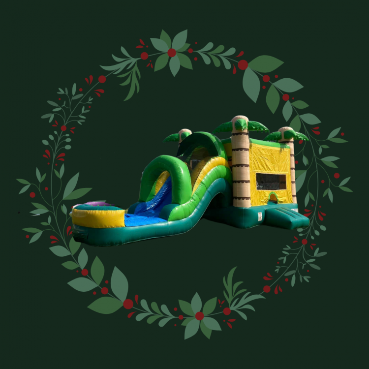 Quality Bounce House Rentals in Richlands NC 9103816591